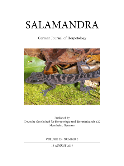 salamandra cover