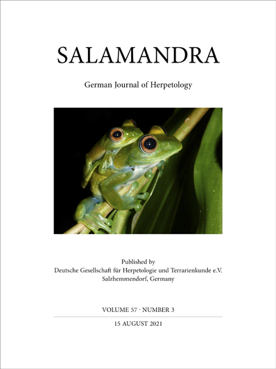 salamandra_2